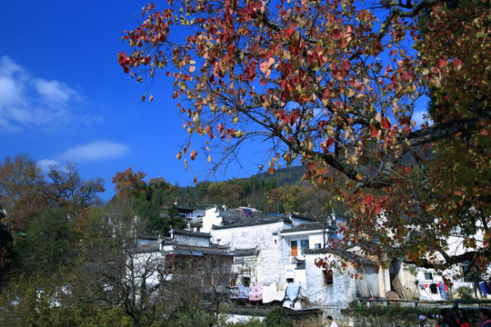 塔川的秋天