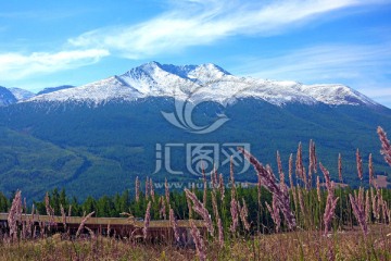 新疆雪山