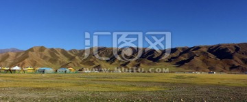 新疆草场