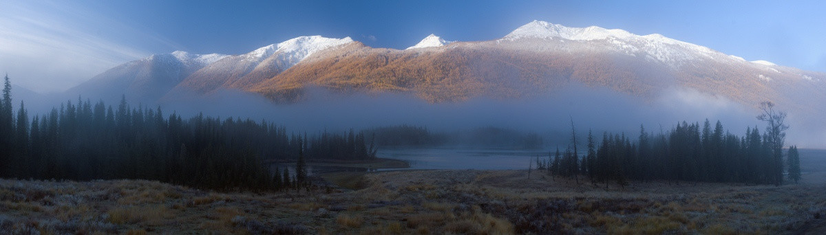 凌晨从云海中显现出来的白雪山峰