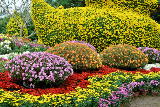 繁花似锦