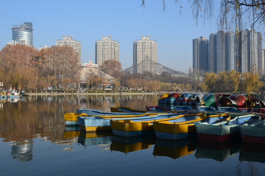 兴庆湖美景