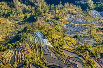 元阳梯田