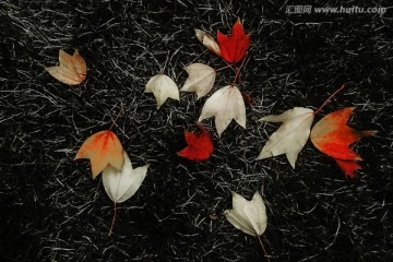 秋叶