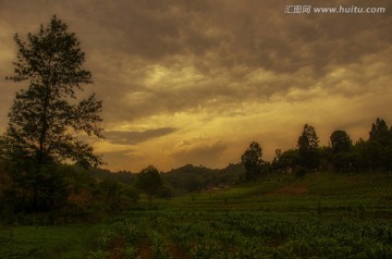 静静的山野