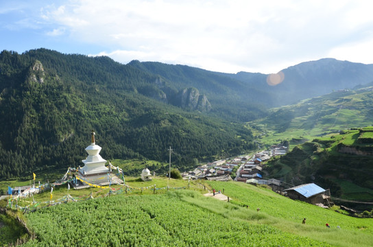 扎尕那 白塔 寺庙