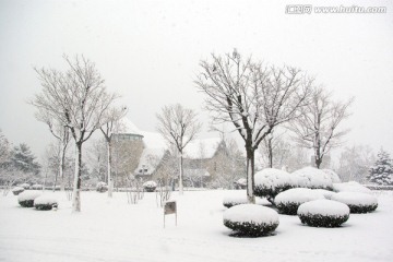 雪后广场
