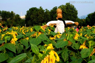 稻草人