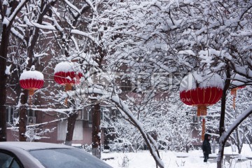 雪打灯