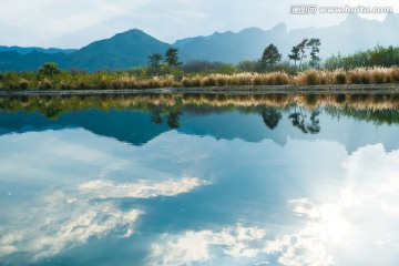 天空 芦苇