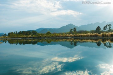 河流 湖泊 芦苇