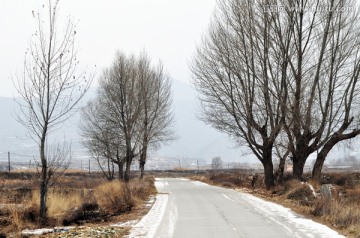 路边小景