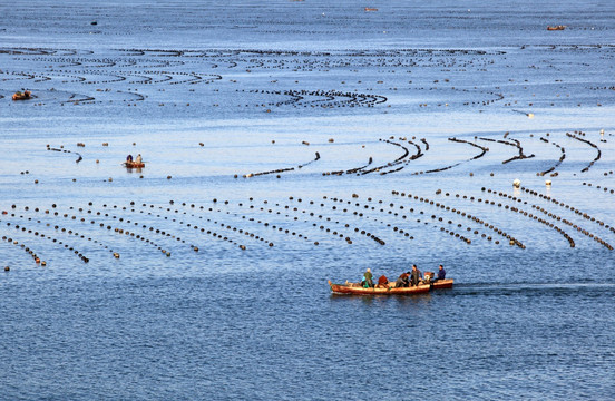 海上养殖