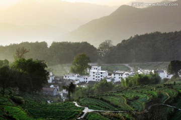 婺源江岭风光