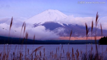 日本春天里的富士山