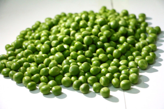 绿色豆子 豆子图片