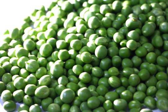 绿色豆子 豆子图片