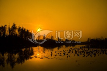 长沙洋湖湿地公园日落夕阳剪影