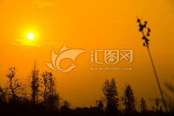 小草 日落 夕阳 剪影
