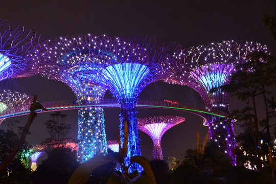 新加坡夜景