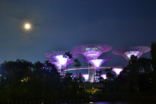 新加坡夜景