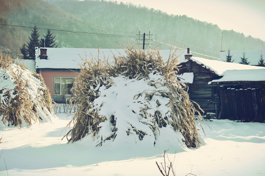 松岭雪村院落