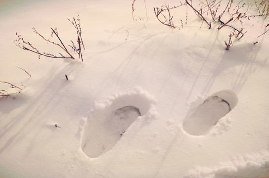 雪地脚印