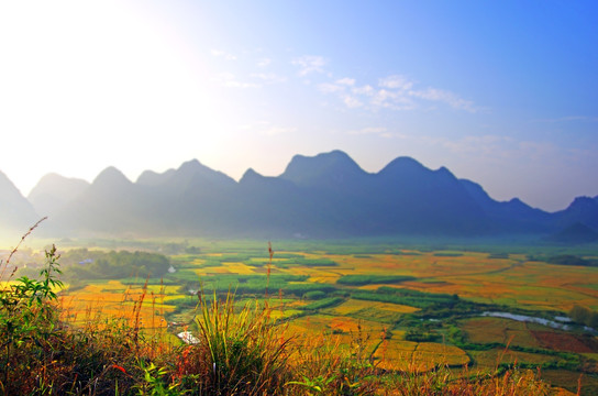 朦胧风景