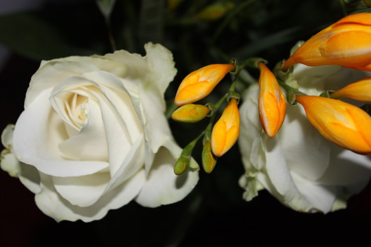 花