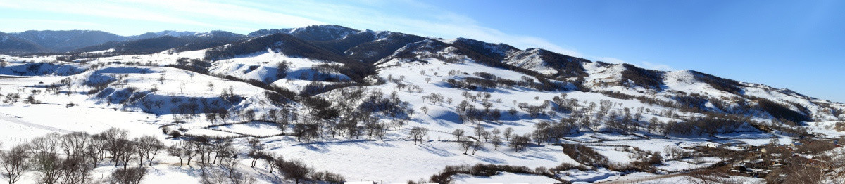 坝上雪景