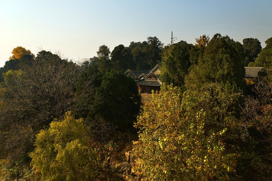 泰山王母池