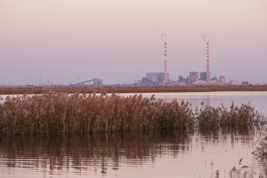 湿地边的火力发电厂