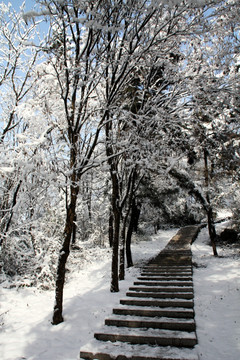 雪景 台阶
