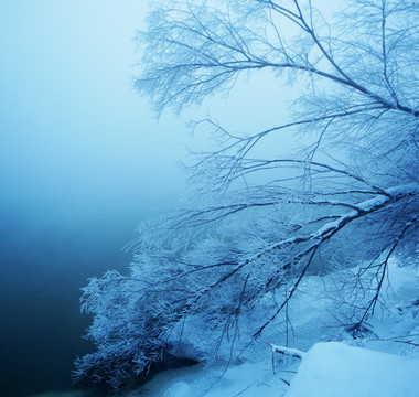 雾凇岛雪景