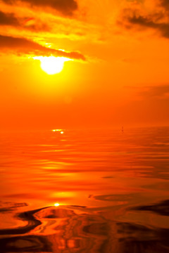 大海 滩涂
