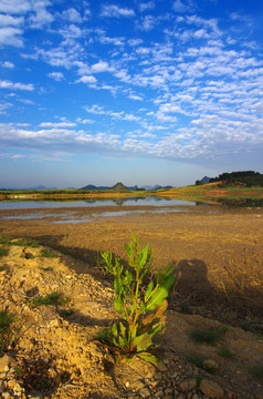 自然风景 季节湖