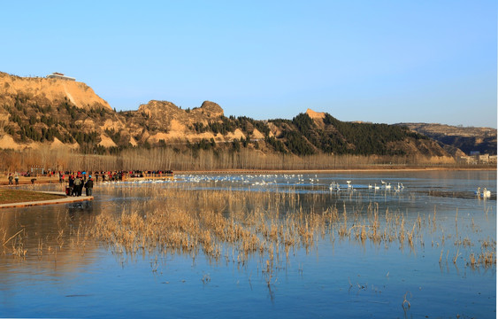 天鹅湖