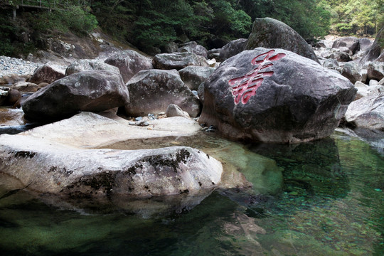 福建武夷山大安源风光