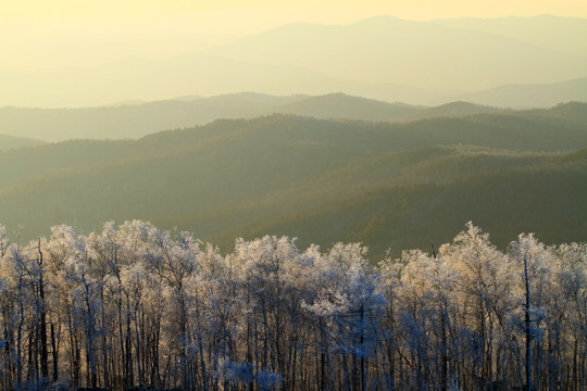 雪林夕照