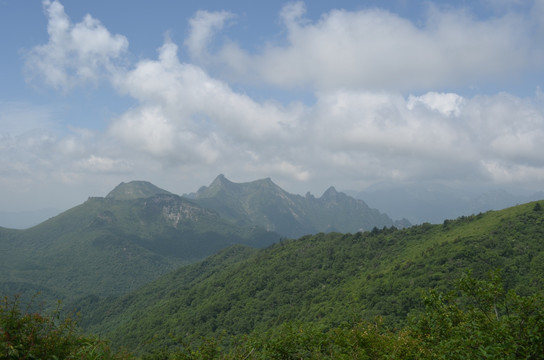 高山白云