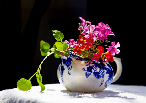 静物 茶壶 小花