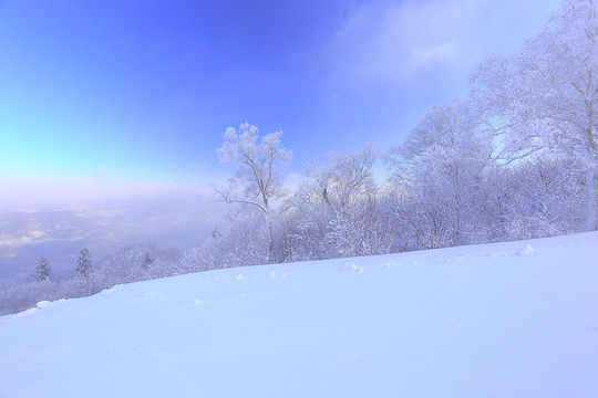 冰雪旅游