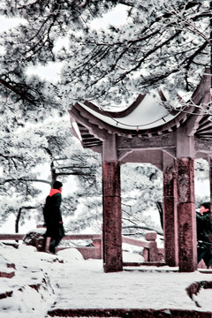 黄山风光 冬雪 冬景