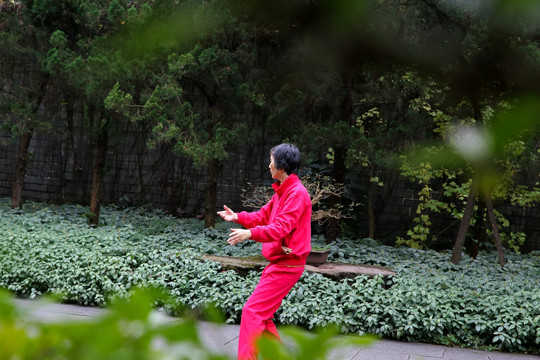 打太极 太极拳