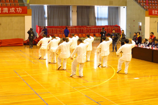 陈氏太极 表演 太极拳 比赛