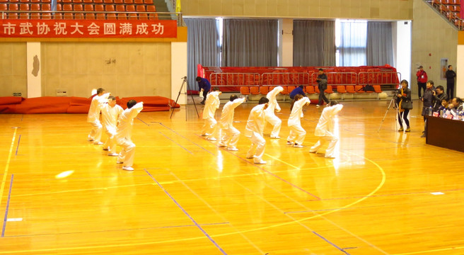 太极拳 陈氏太极 比赛 表演