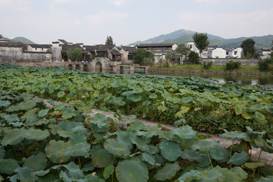 安徽黄山市呈坎古村