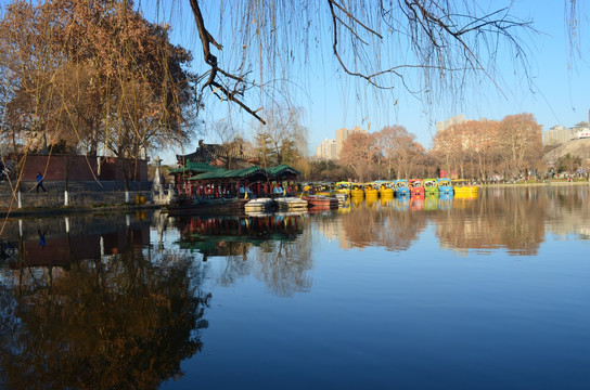 兴庆湖美景