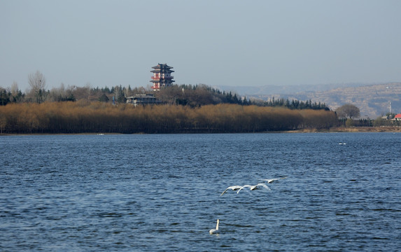 天鹅湖风光