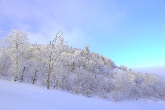 冰雪旅游